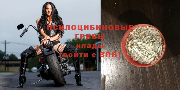 гидропоника Бронницы